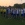 Kreispokalfinale 2016/2017